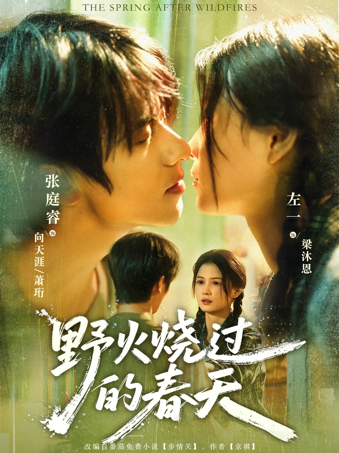 热门无广告短剧